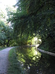 SX09672 Sunlit trees reflected in Monmouthshire and Brecon Canal.jpg